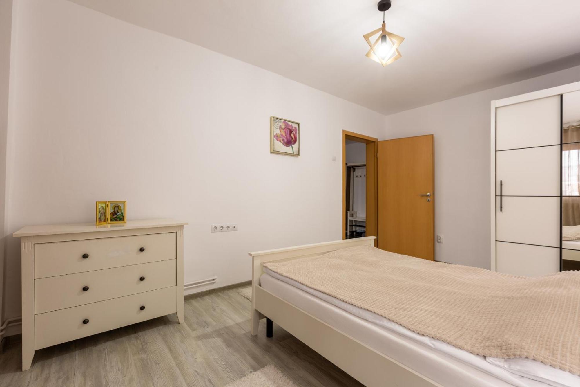 Apartament Alexandru - Central Mediaş エクステリア 写真